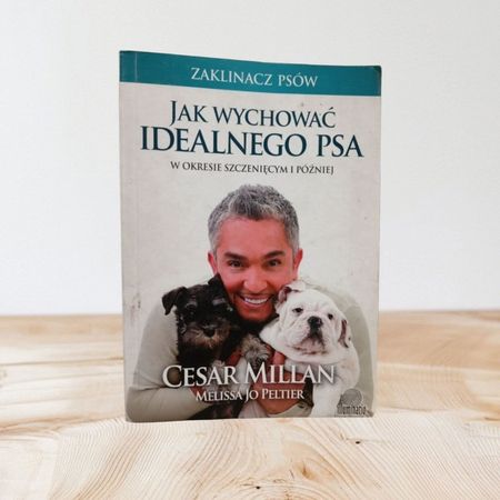 Książka jak wychować idealnego psa 