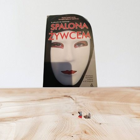 Książka spalona żywcem 